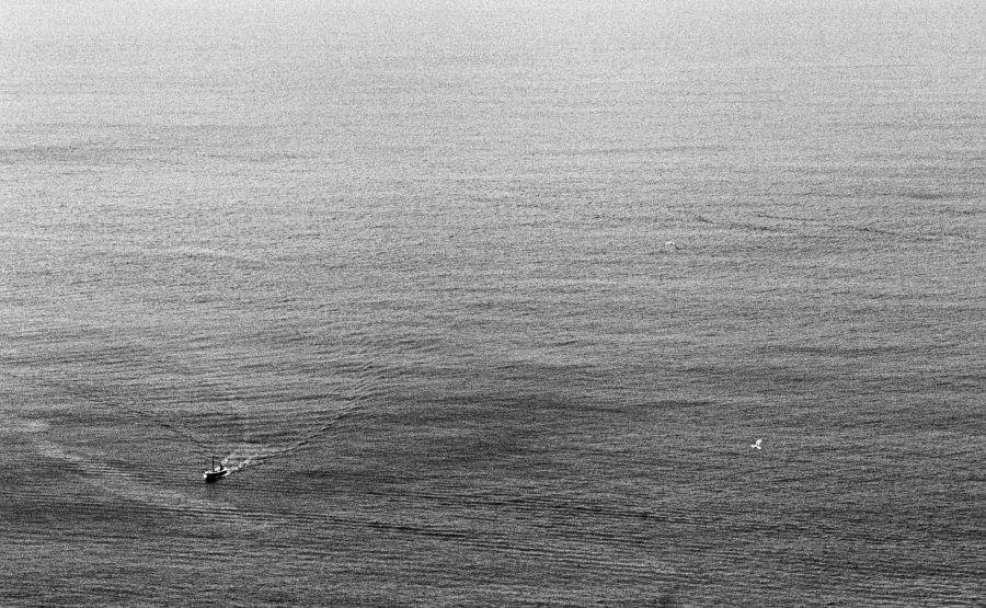 Meer Boot Möwen vor Capri