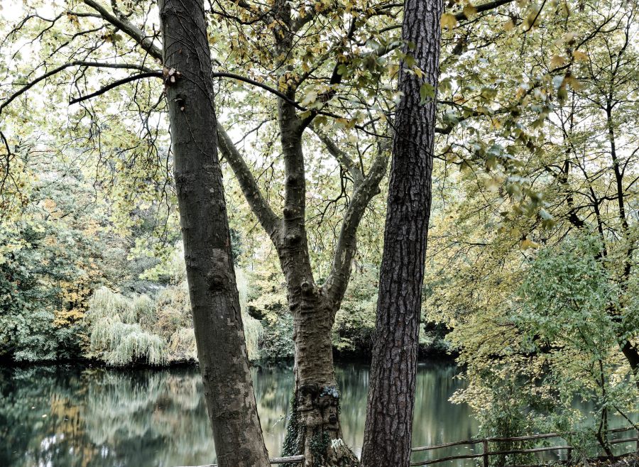 Hubertussee Berlin