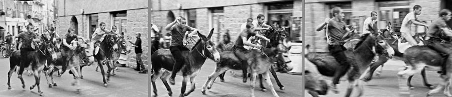 Corsa degli asini  Orgosolo Sardinien