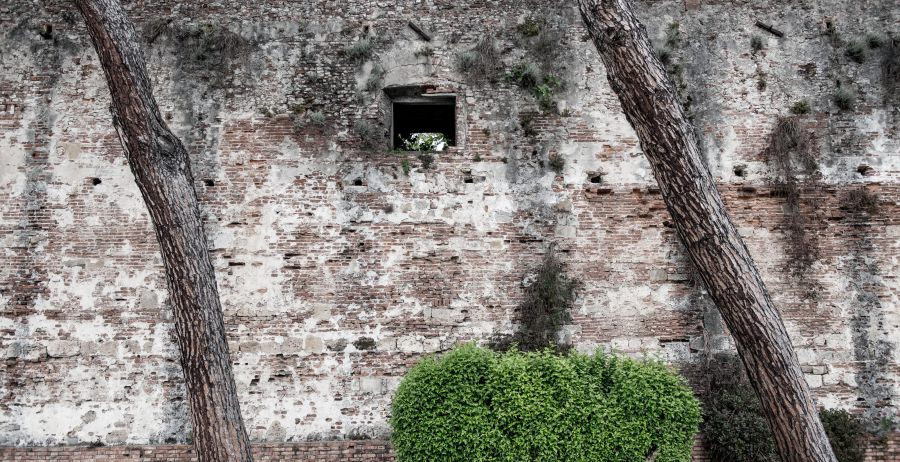 Stadtmauer Pisa