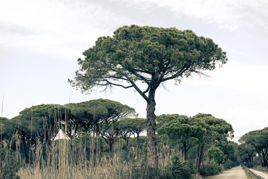 Maremma Italien