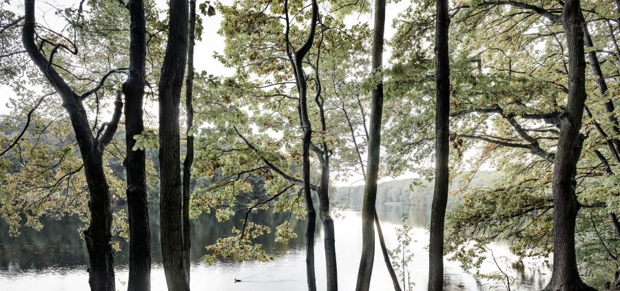 Schlachtensee Berlin