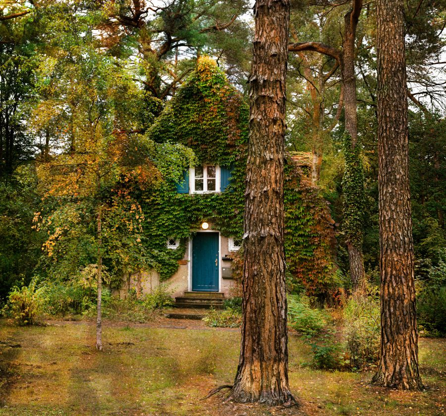 Waldsiedlung Krumme Lanke