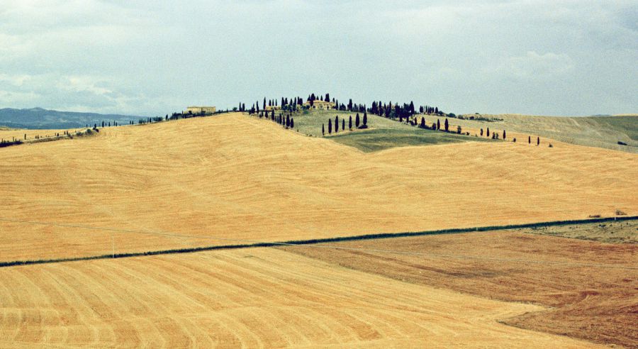 Toskana bei Greve